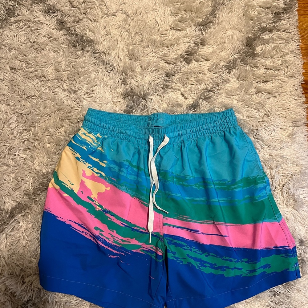 Chubbies Blue, Pink, and Green Swim Trunks